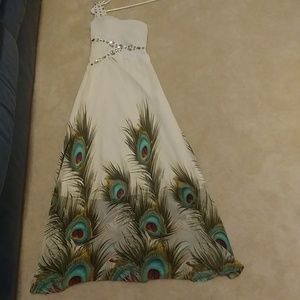 Peacock Dress